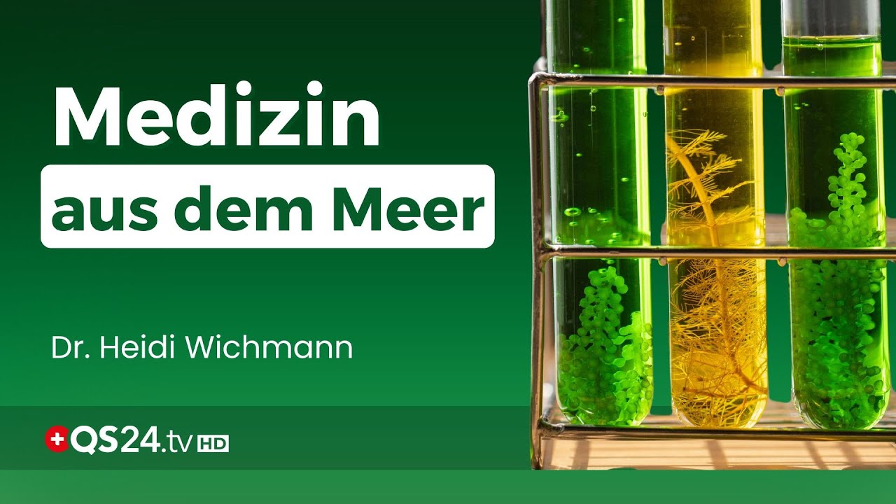 Algen als Medizin? Was die Forschung jetzt entdeckt | Dr. Heidi Wichmann | Erfahrungsmedizin | QS24