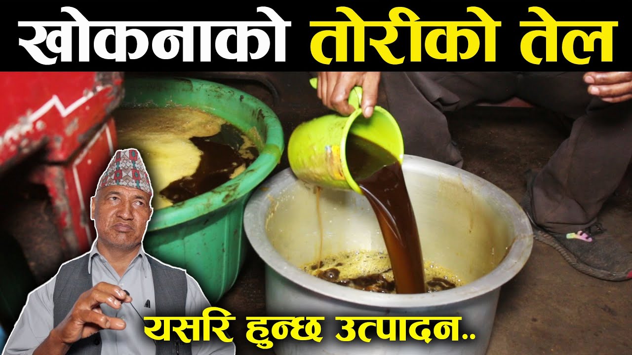 खोकनामा तोरीको तेल यसरि निकालिन्छ - Toriko tel utpdan | How to product oil of Black mustard in Nepal