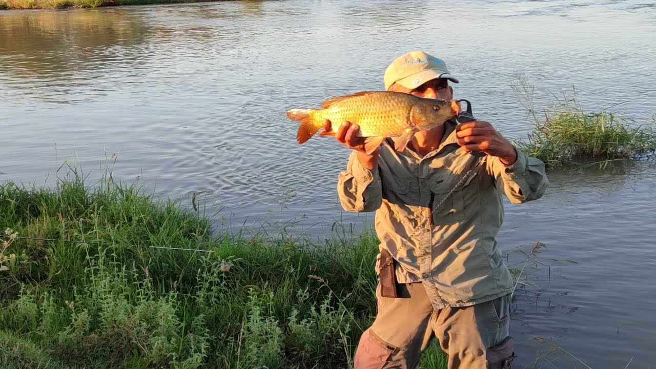#Sazan Balığı Avı#Yeni Mera Boş Çevirmedi#Carp Fishing#New Pasture Didn't Turn Away#NatureCamping#