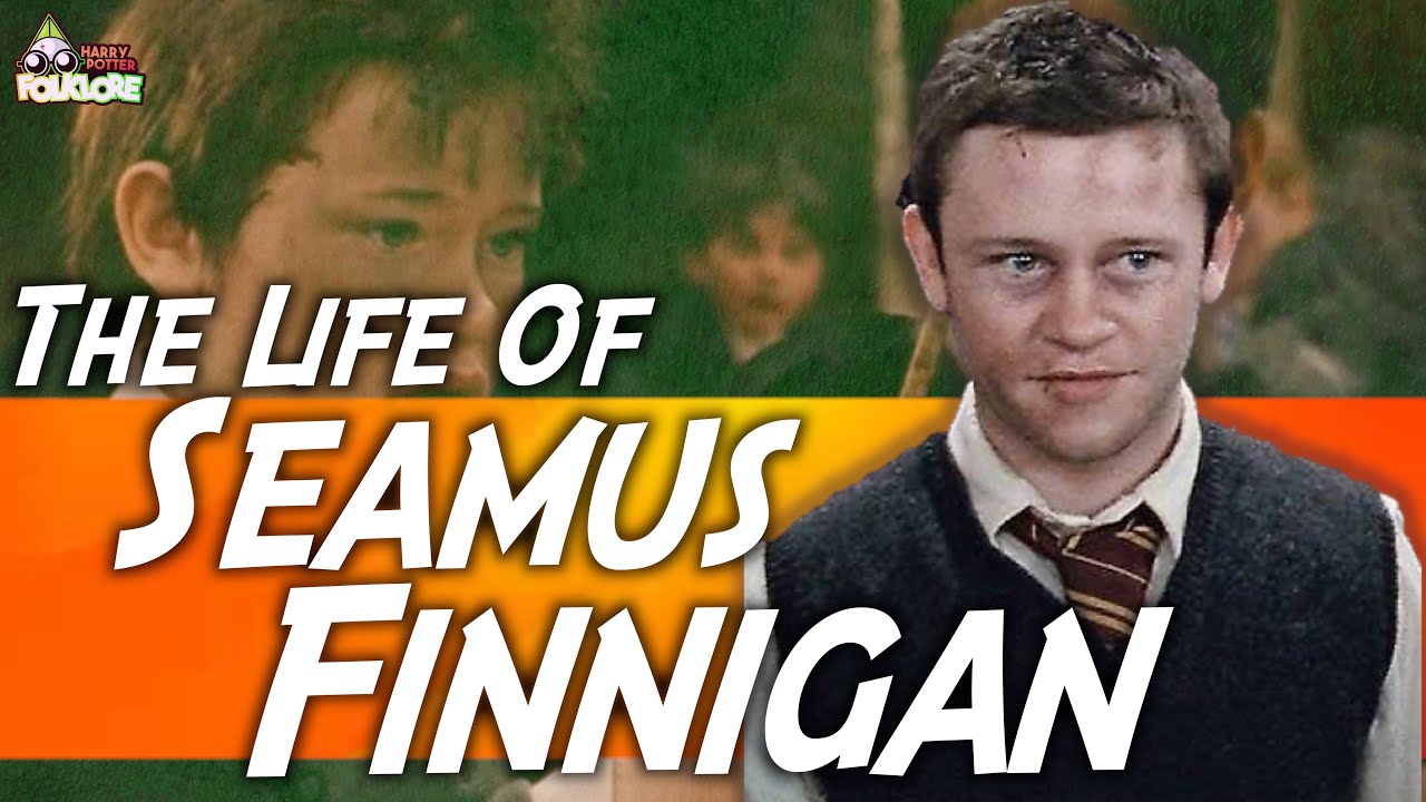 The Life Of Seamus Finnegan