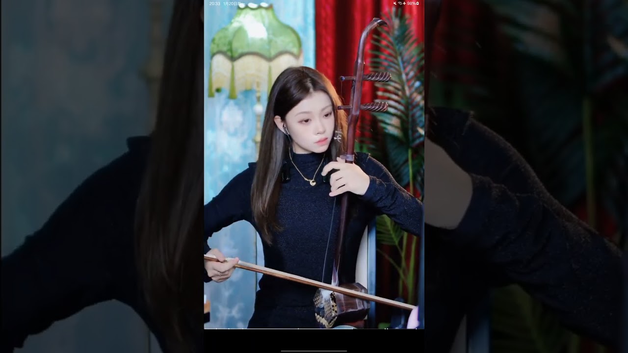 250120 23 Dream of the Red Chamber #葬花吟 #葬花吟eng Erhu Peiyao 二胡沛瑶 Erhu 二胡