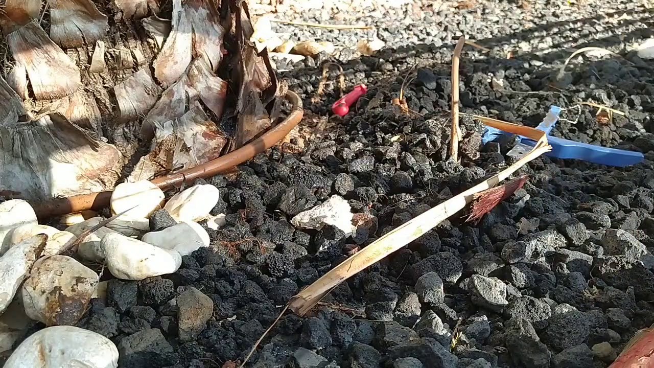 תיקון פיצוץ מים בקו השקייה שגינה