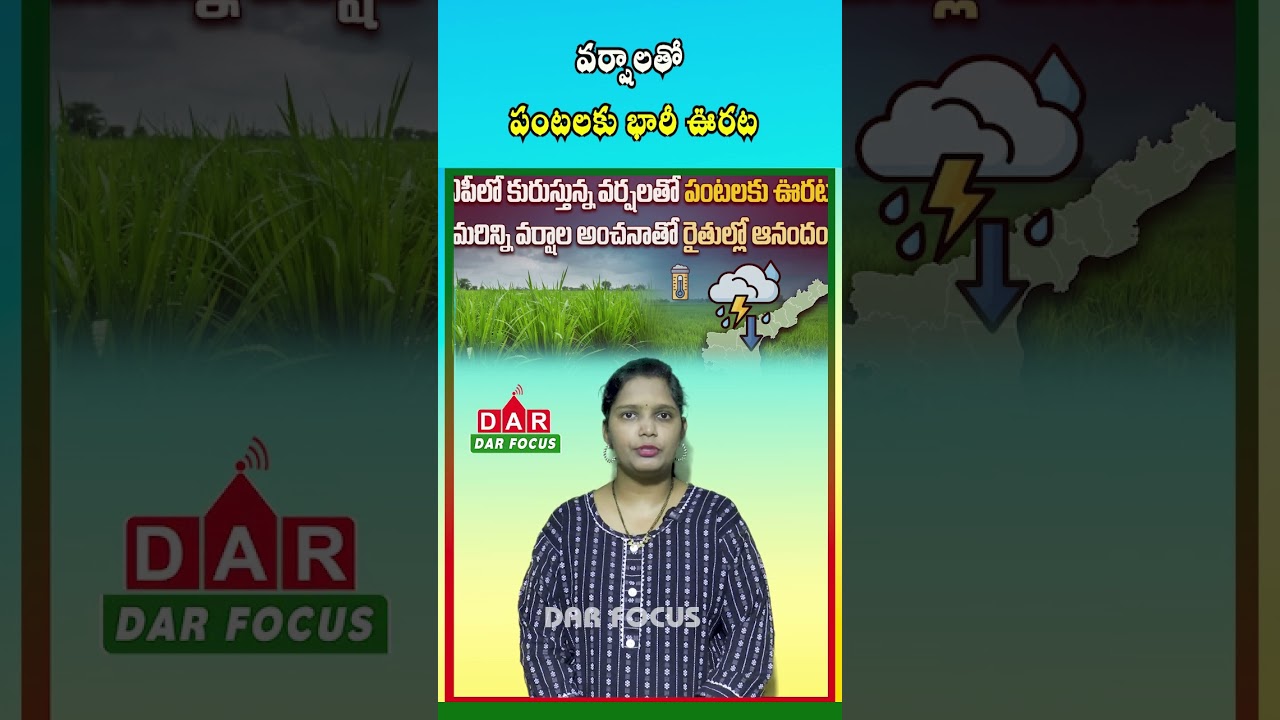 AP Weather Update: More Rains Likely, Farmers Feel Relieved | Latest Updates | DAR FOCUS #darfocus