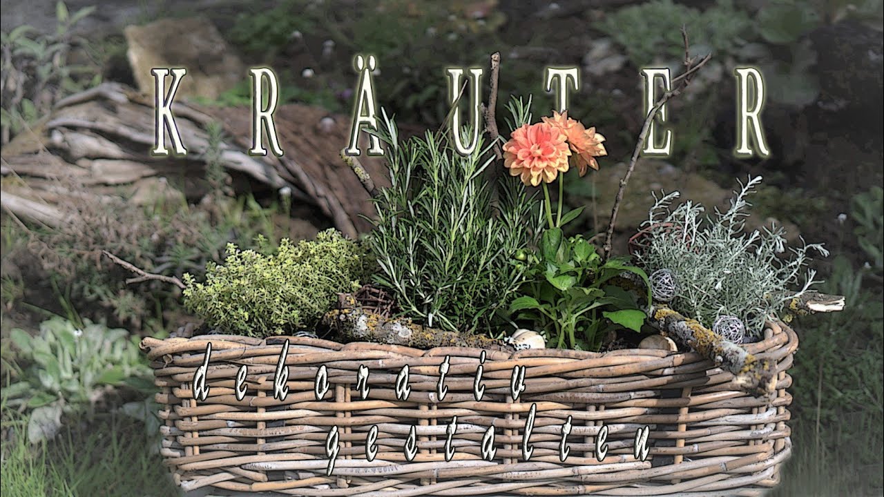 Beliebte KRÄUTER  dekorativ gestalten🌿 DIY |  für dein Zuhause oder als geniale Geschenksidee