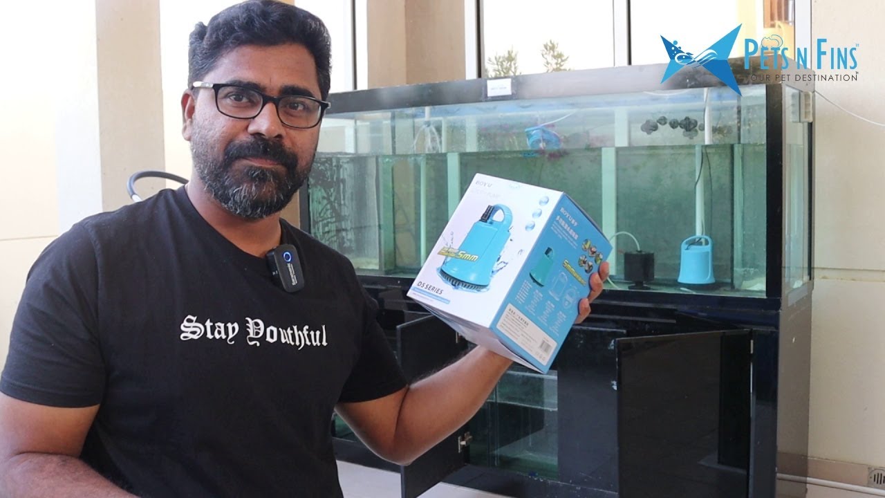 സംപ് ഫിൽട്രേഷൻ സെറ്റാക്കാം | ഗുണങ്ങളും ദോഷങ്ങളും  Using Submersible Pump Instead of Overflow in Sump