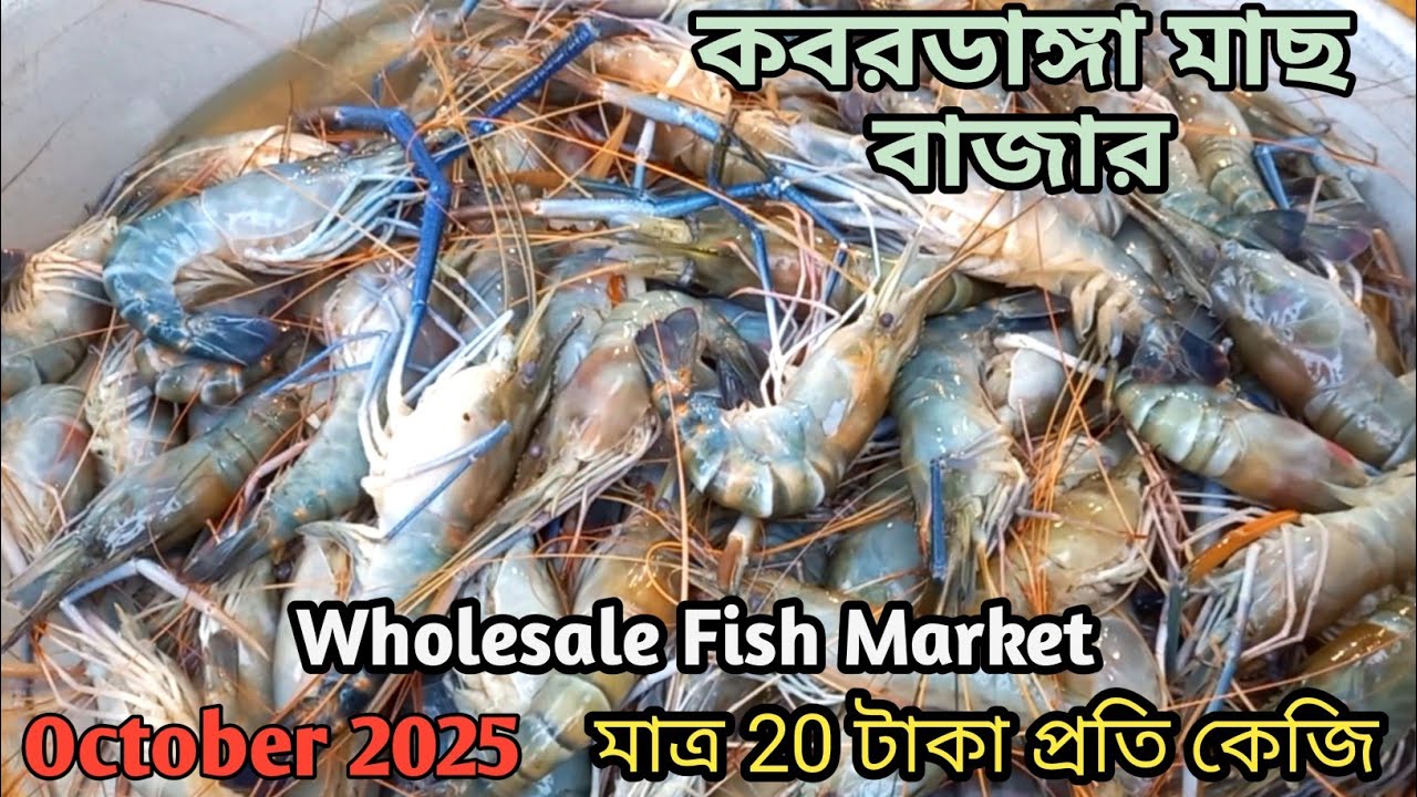 কবরডাঙ্গা মাছ বাজার | Kabardanga Fish Market Full Tour 🐟 Cheapest Fresh Fish in Kolkata | Fish 2025
