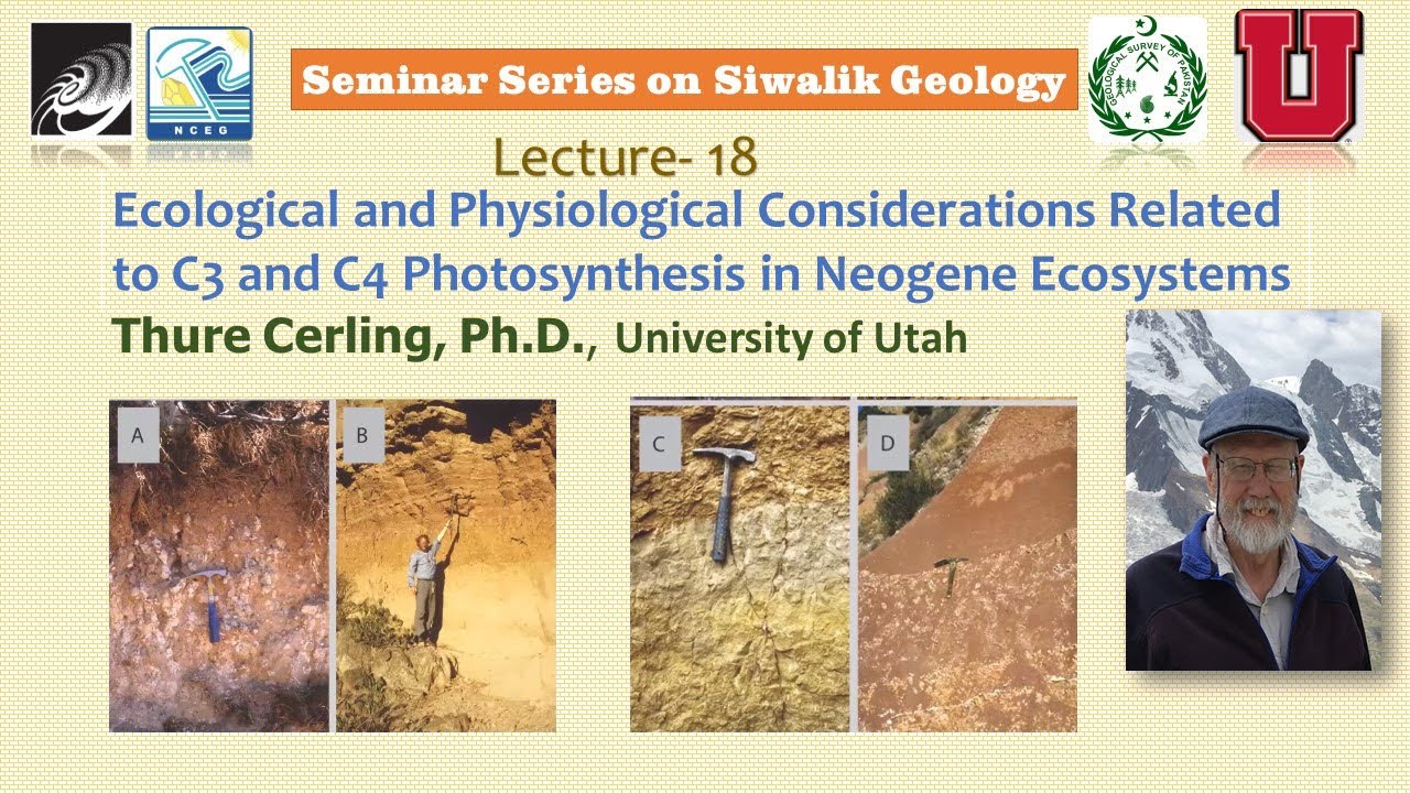 Lecture-18 C3 and C4 Photosynthesis in Neogene Ecosystems | Dr. Thure Cerling | Naked Earth