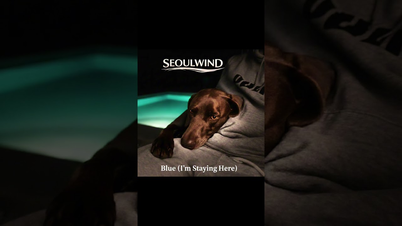 Blue (i’m staying here)￼
