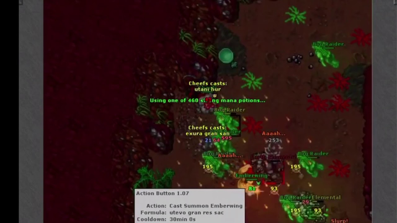 Tibia Bosses - Shlorg - Wintera