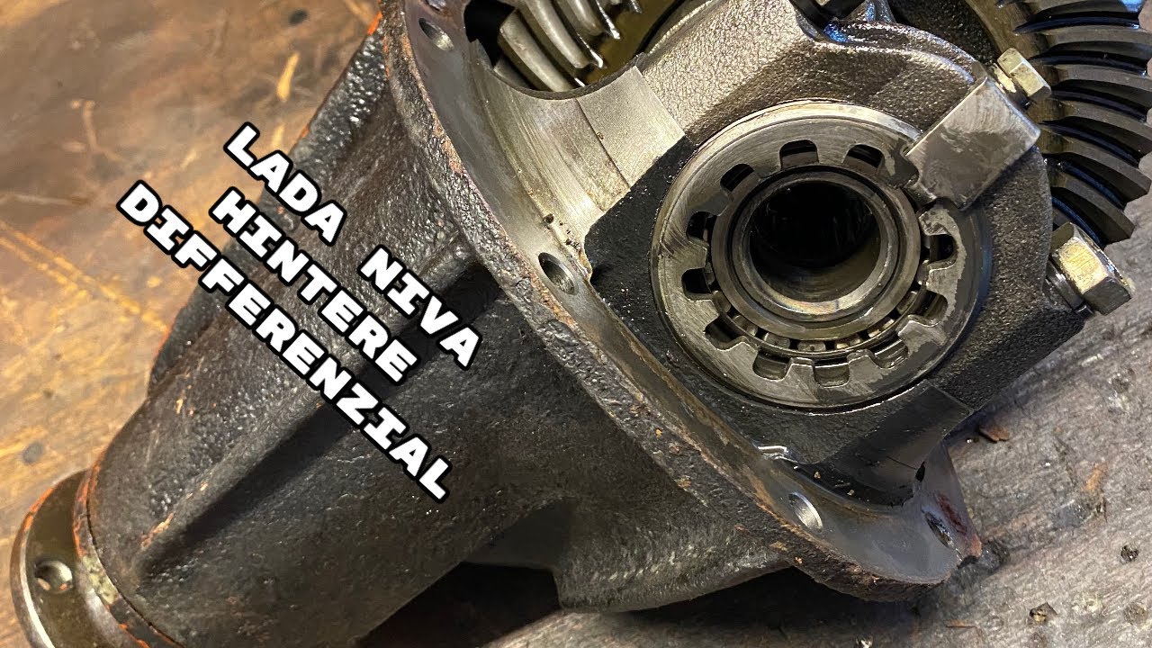 Lada Niva Wechsle Hintere Differenzial,Neue Kardanwelle.