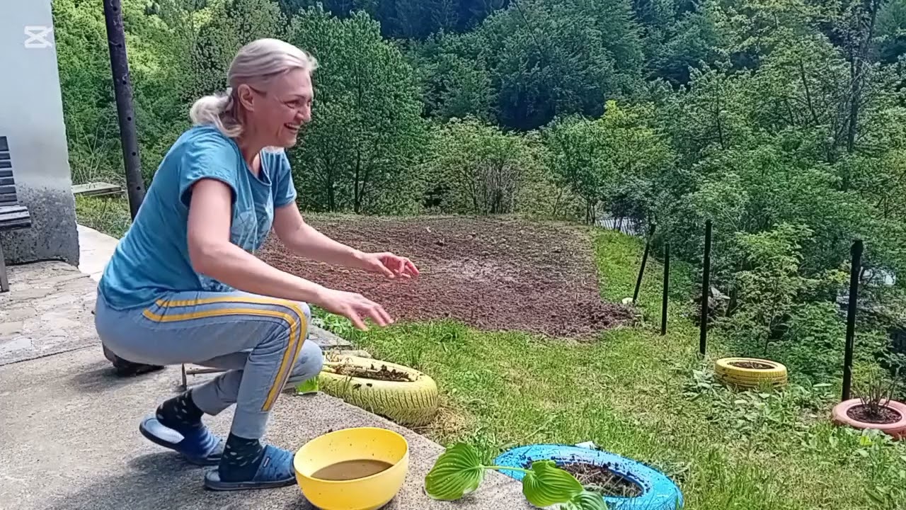 Sadimo Ljiljane,,,Ko zna znacenje Ljiljana ?