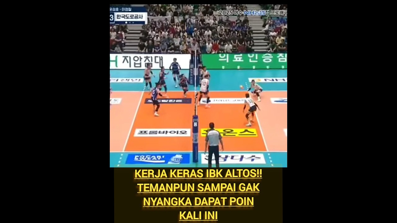 2025 IBK ALTOS vs HI-PAS #volleyball #shortvideo #shorts