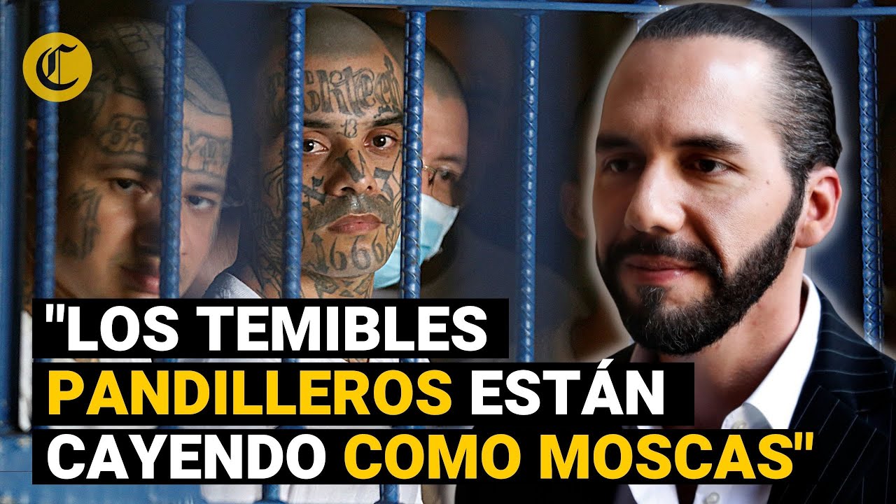 NAYIB BUKELE bate RÉCORD en detenciones: 