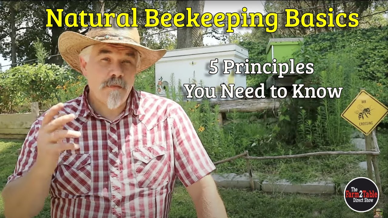 Farm2Table Direct Show Speaker Series - Natural Beekeeping Basics with Suburban Sodbuster