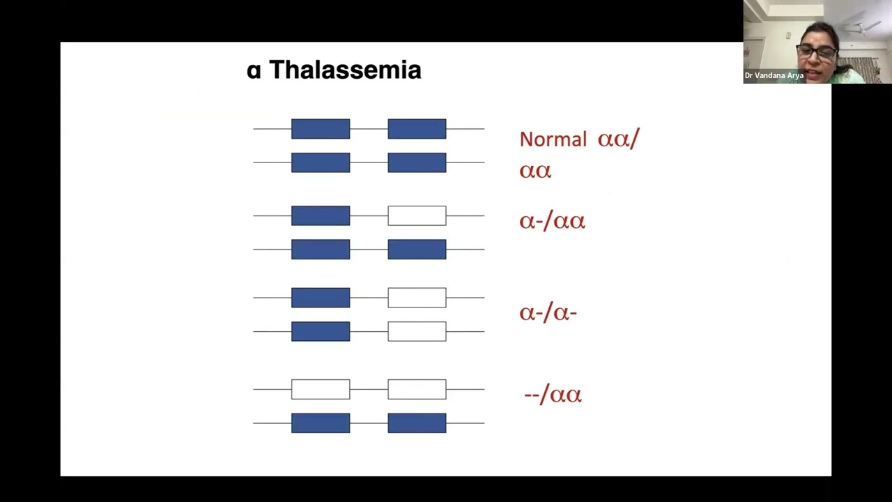Unraveling Thalassemia : Genetic Determinants and Molecular Diagnostic Advances
