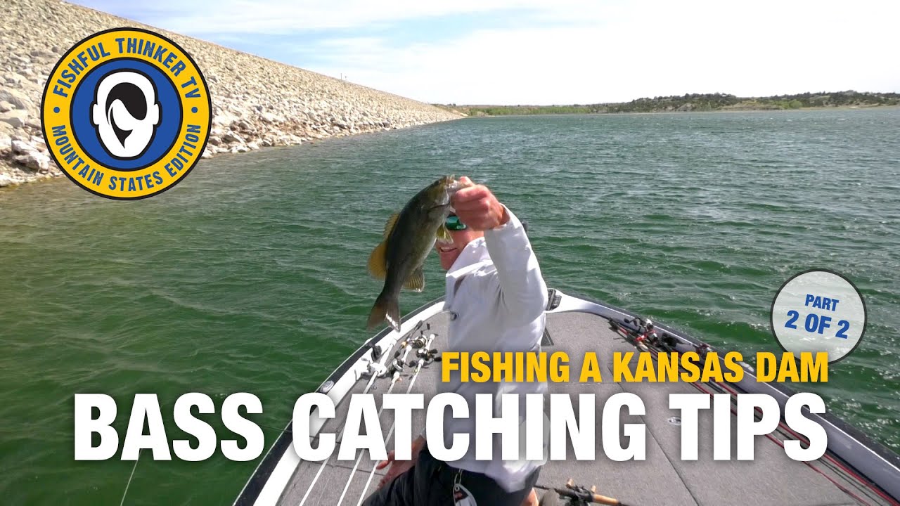 Dam Bassin' Tactics, part 2 (bass fishing)