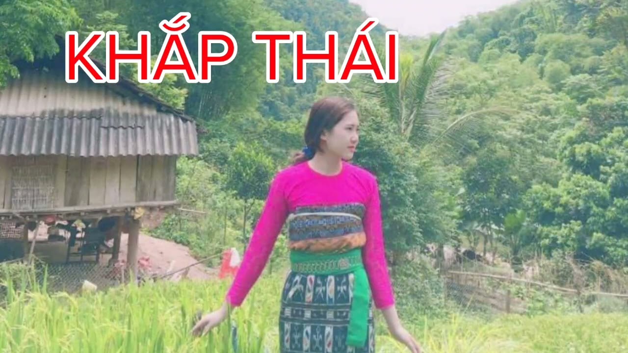 Tổng hợp khắp Thái hay nhất| ຂັບໄຕແດງ| Phần 370 | Cuộc sống văn hoá người Thái