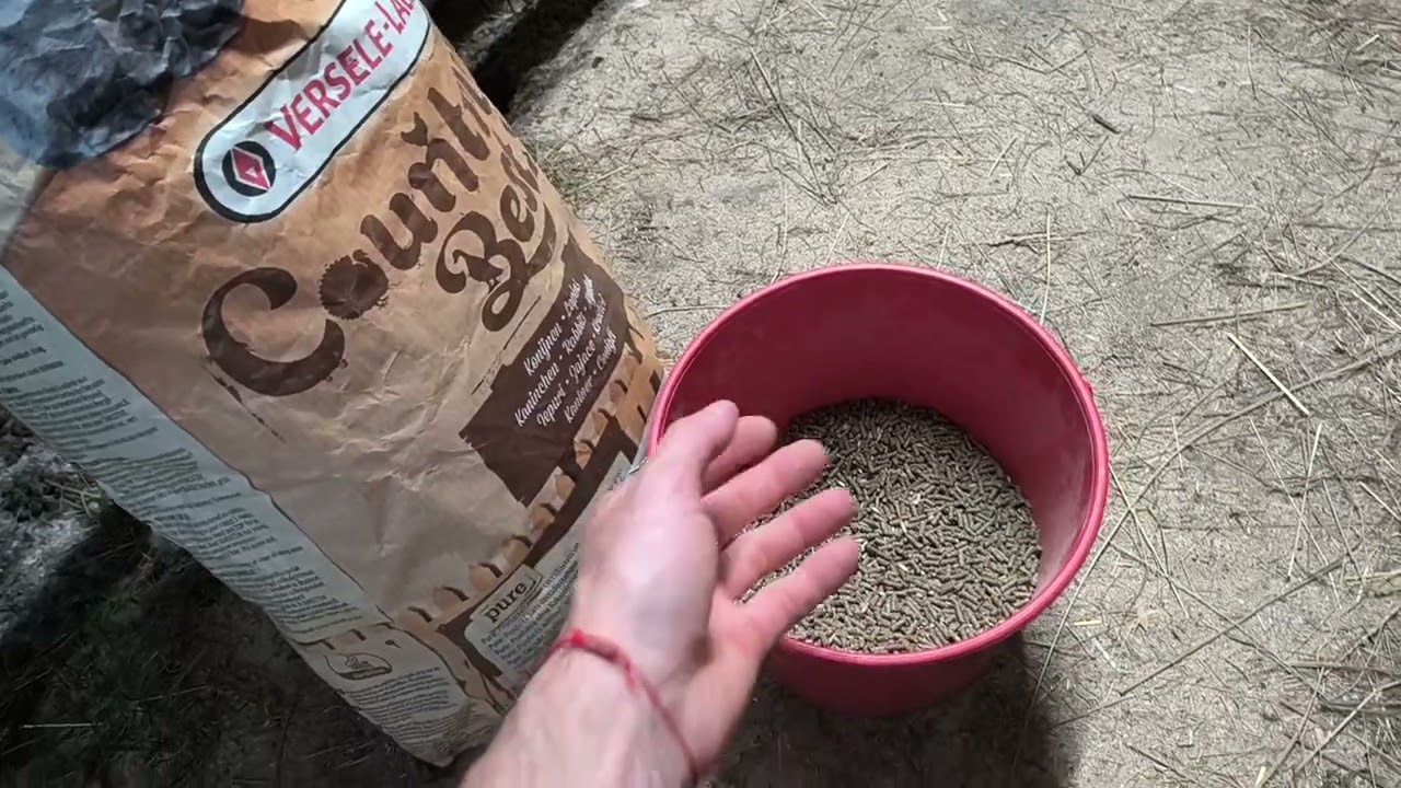 Ako udržujem zdravý chov králikov a čo všetko používam