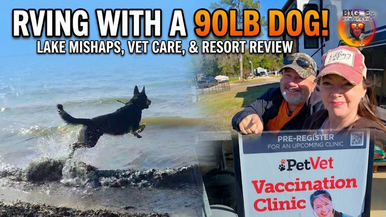Full-Time RVing With a 90lb German Shepherd - Here's What We Didn't Expect