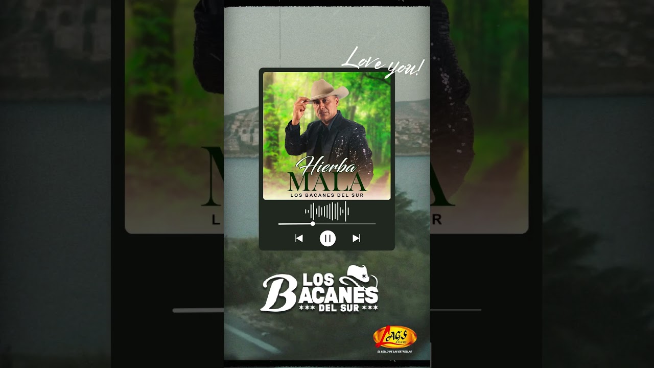 #reels   #losbacanesdelsur  #musica #shortsvideo