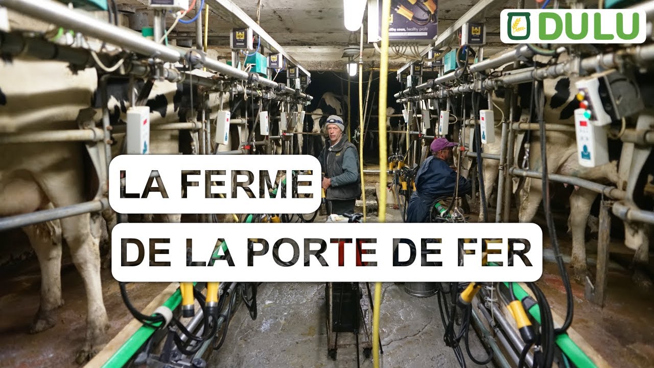 La ferme de la porte de fer - Remplisseuse de pots de yaourt DULU