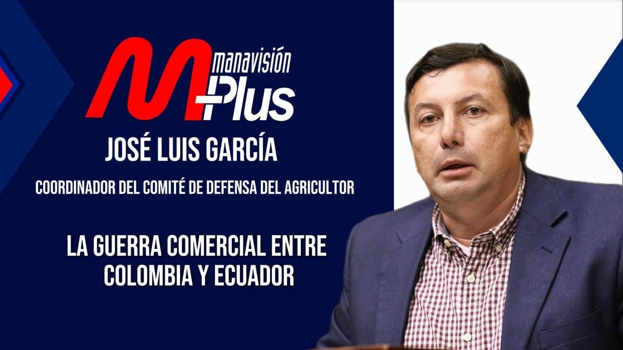 ¿Por qué el plátano pasó de $9 a $2 la caja? Agricultores advierten fuerte impacto económico.
