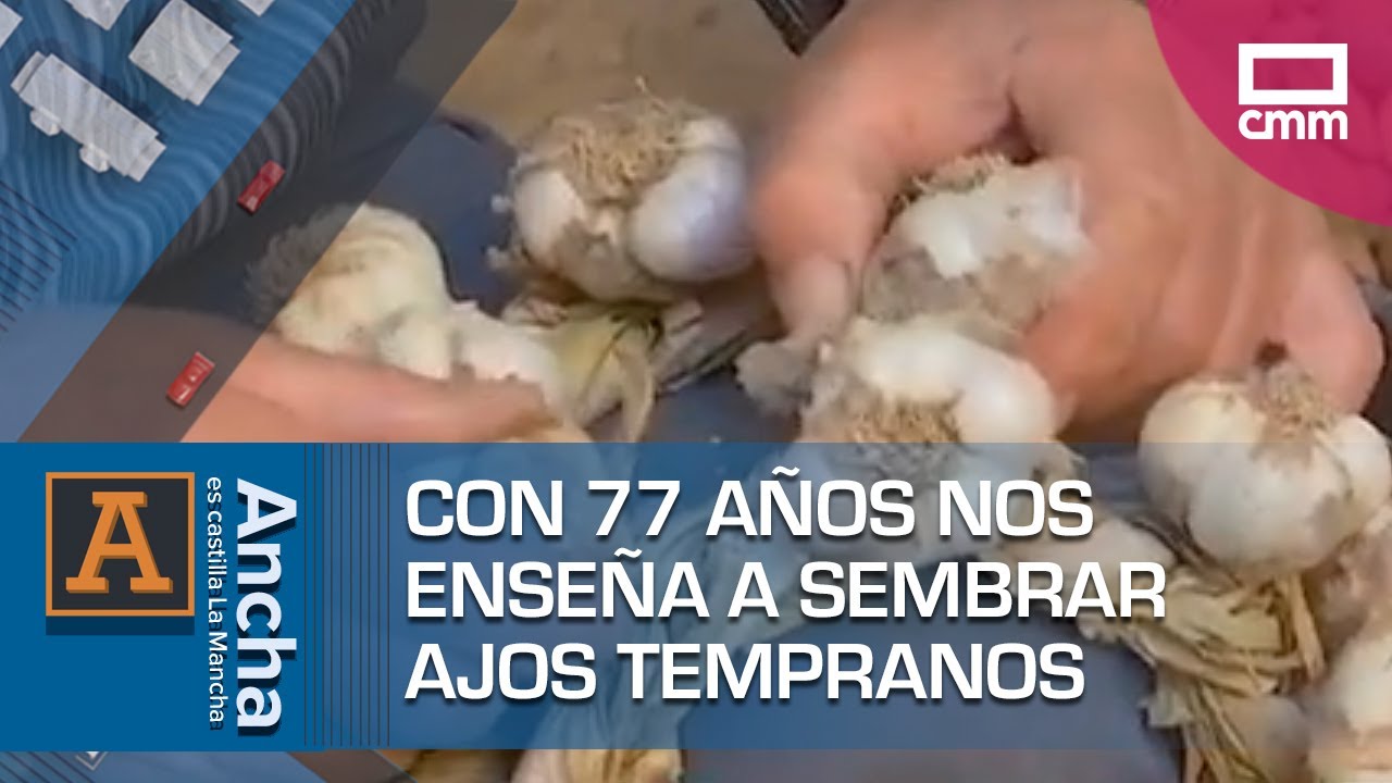 Con 77 años nos enseña a sembrar ajos tempranos
