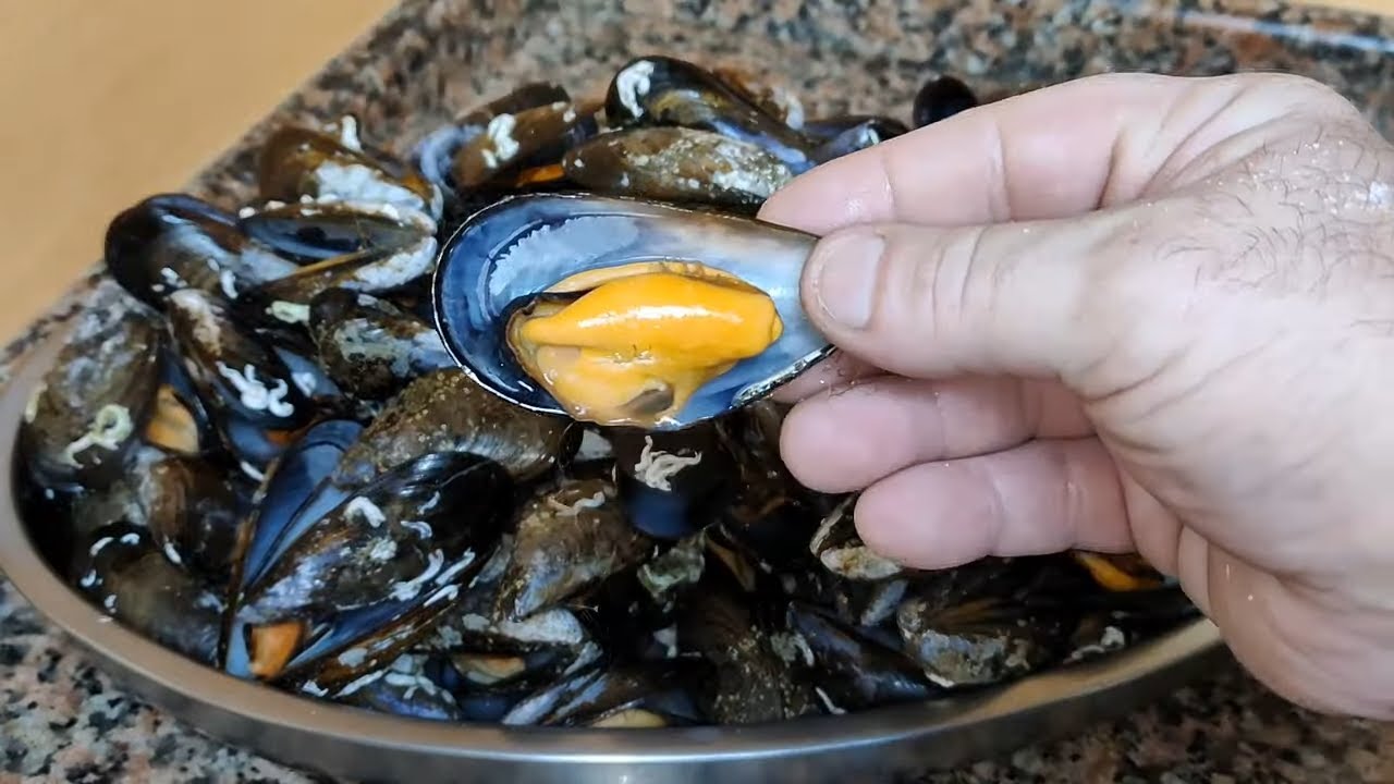 MEJILLONES TRUCO PARA QUE TE QUEDEN GRANDES Y GORDOS /MARISCO APERITIVO IDEAL Y BARATO
