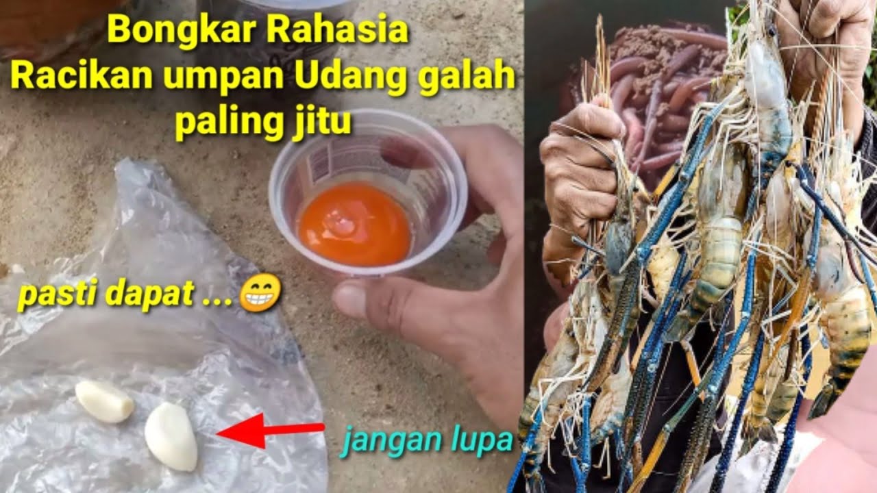 Bongkar Rahasia 