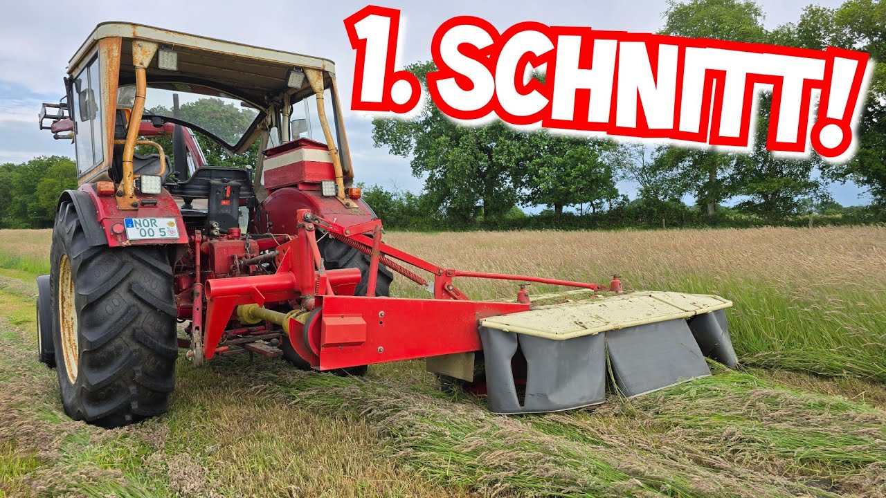 STARTSCHUSS! | HEUERNTE 2025 GEHT LOS! | IHC 633 mit PZ CM186 und DEUTZ F2L612 mit Niemeier Wender