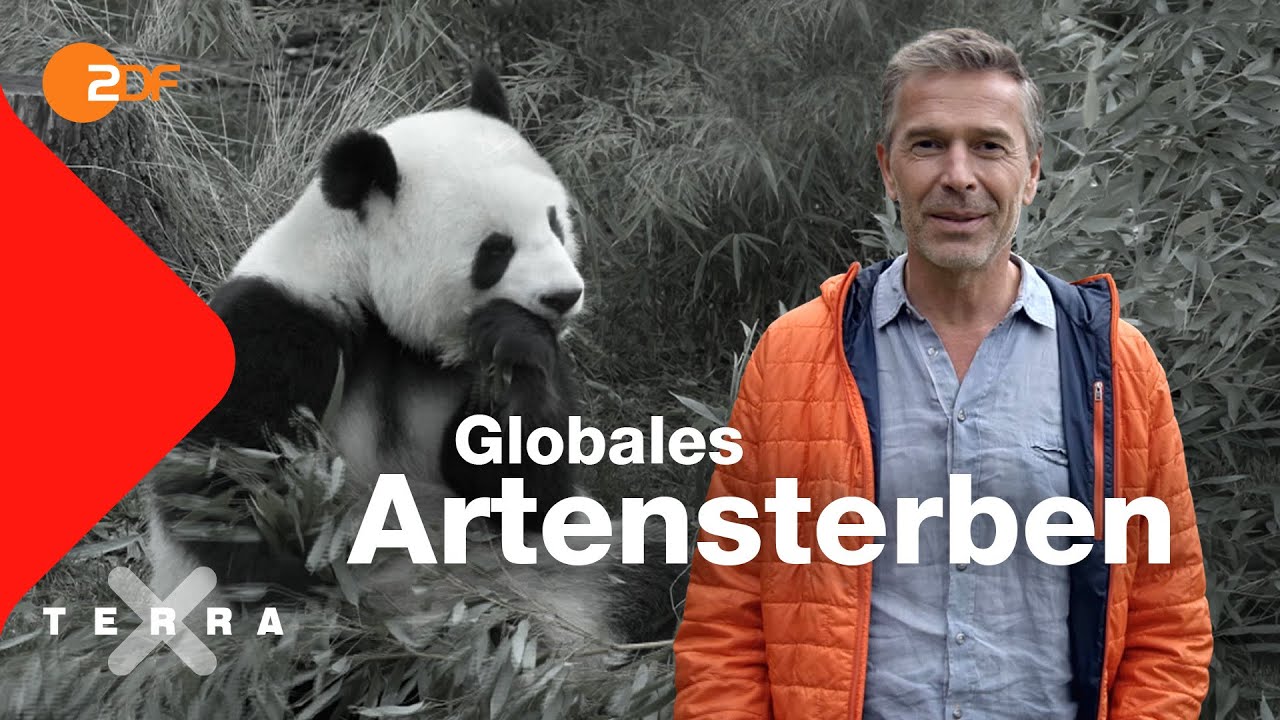 Artenschutz – Faszination Erde | Dirk Steffens | Ganze Folge Terra X