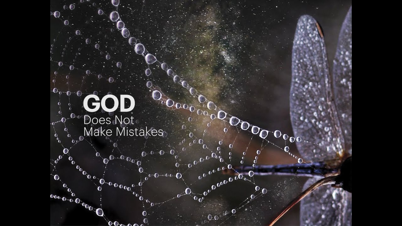God Does Not Make Mistakes – Barry Long