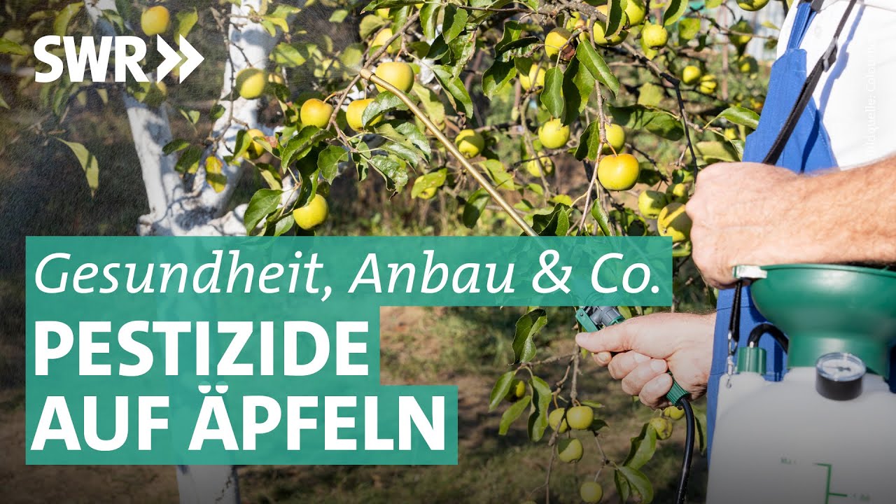 Pestizide auf Äpfeln: Warum viele Obstbauern nicht darauf verzichten | Marktcheck SWR