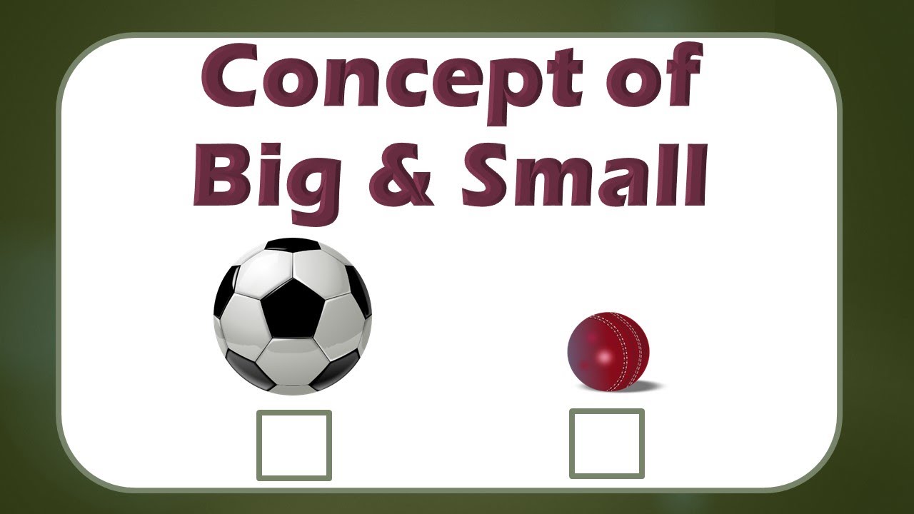 Big and small concept | Big and Small | Big and small for kids | @KidsLetsLearn