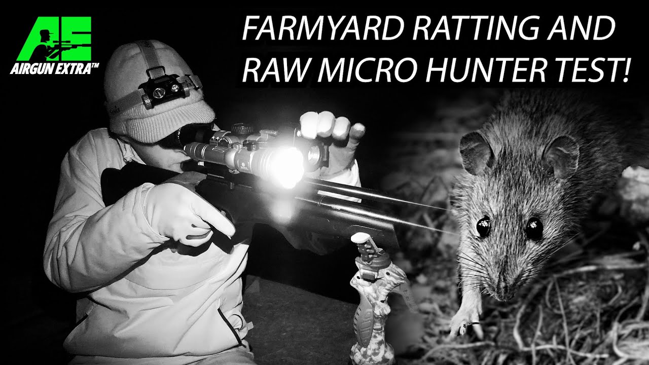Airgun Extra | Как подстрелить больше крыс ночью | Обзор RAW HM 1000 Micro Hunter
