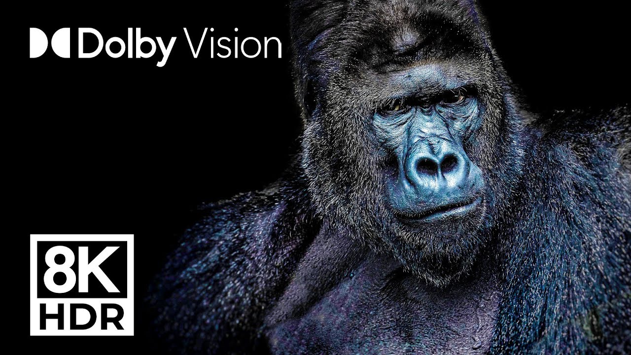 ULTIMATE ANIMAL KINGDOM - DOLBY VISION™ 8K ULTRA HD (2 Hours)