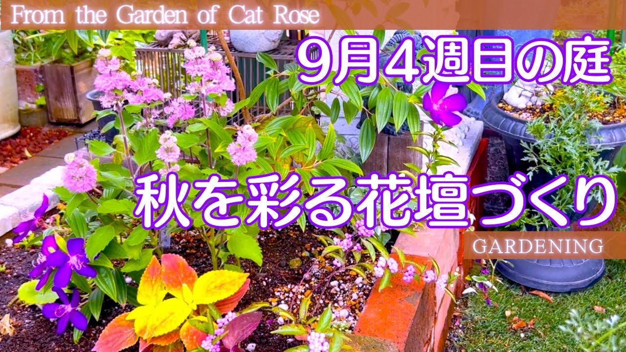 【ガーデニング】　 秋を彩る花壇づくり・ 玄関周りのレイアウト変更とDIY・９月４週目の庭