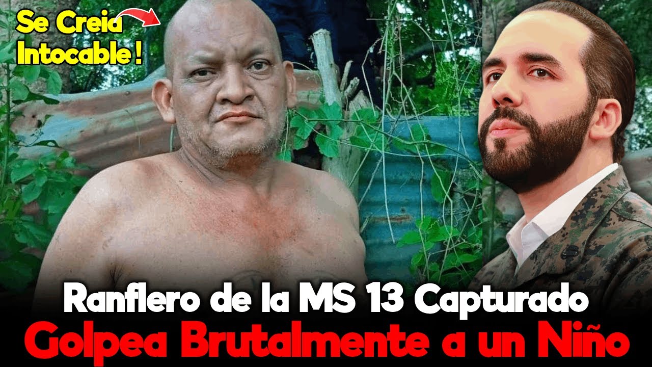 Crueldad Absoluta: Jefe de la MS-13 Ataca a un Niño por No Pagar Renta