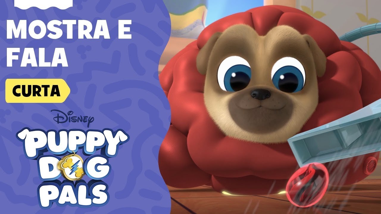 Mostra e fala | Brincando com Bingo e Rolly | Puppy Dog Pals