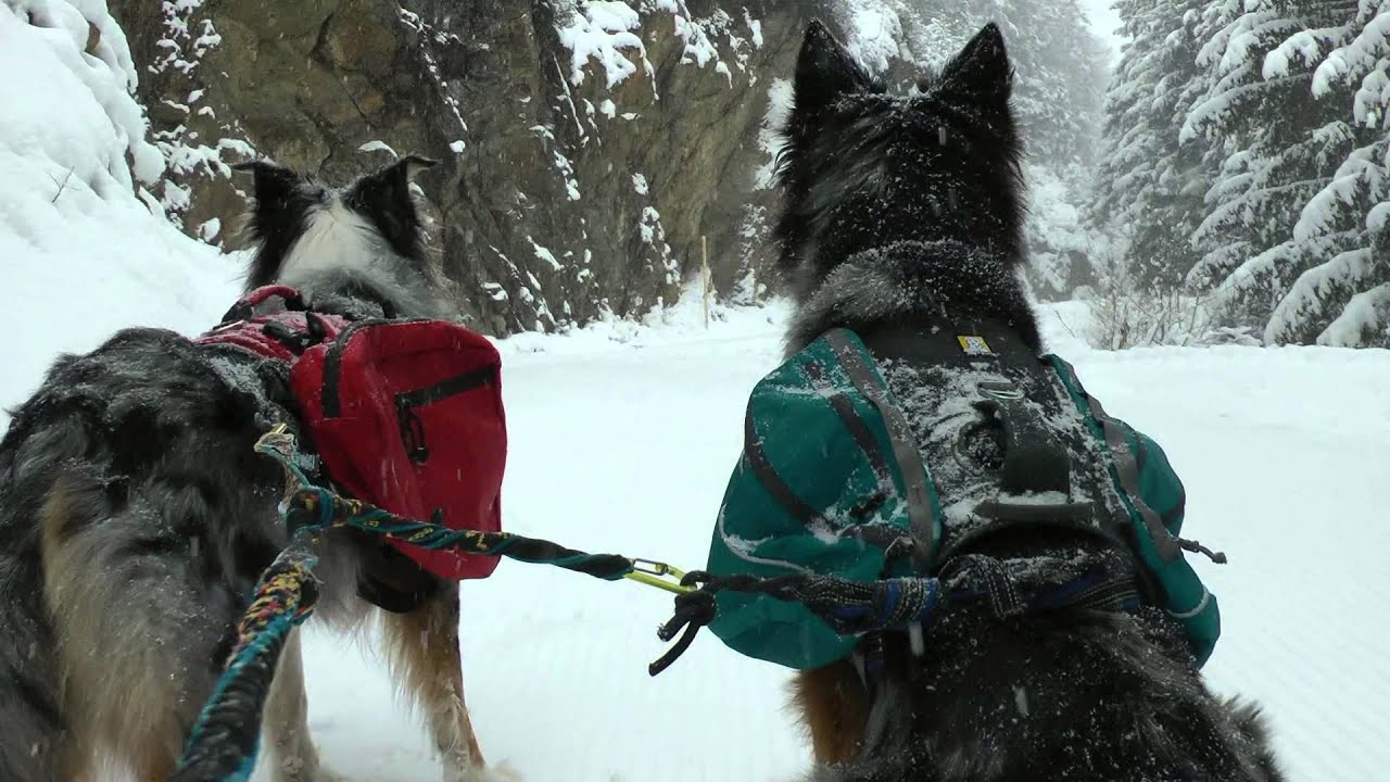 KAUNERTAL 2015/2016 (Video 4) - Und dann schneit es endlich doch noch