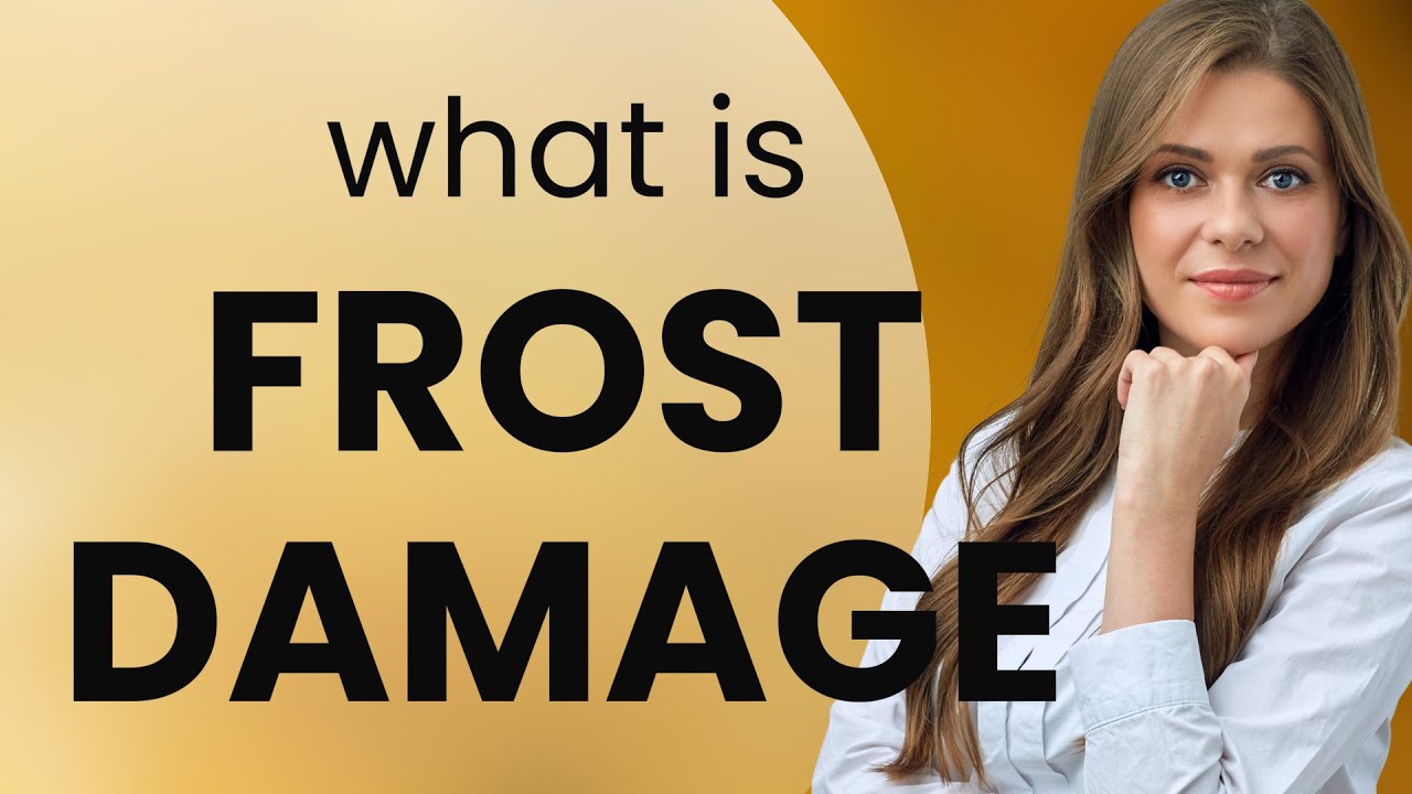 Understanding "Frost Damage": A Guide for English Learners