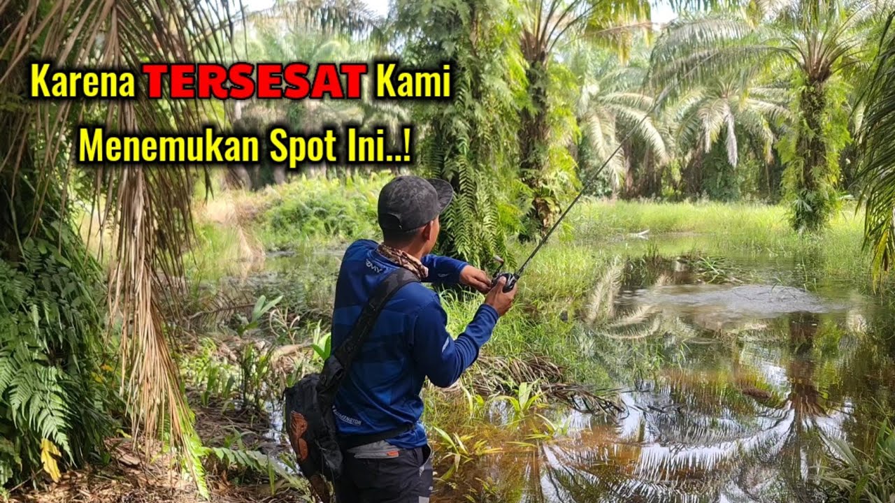 NYASAR SAAT MAU PERGI CASTING MALAH JUMPA SPOT BARU BANYAK DI HUNI IKAN GABUS