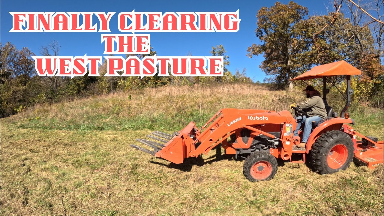 Brush Hogging & Chainsawing the West Pasture | Satisfying Cleanup Compilation