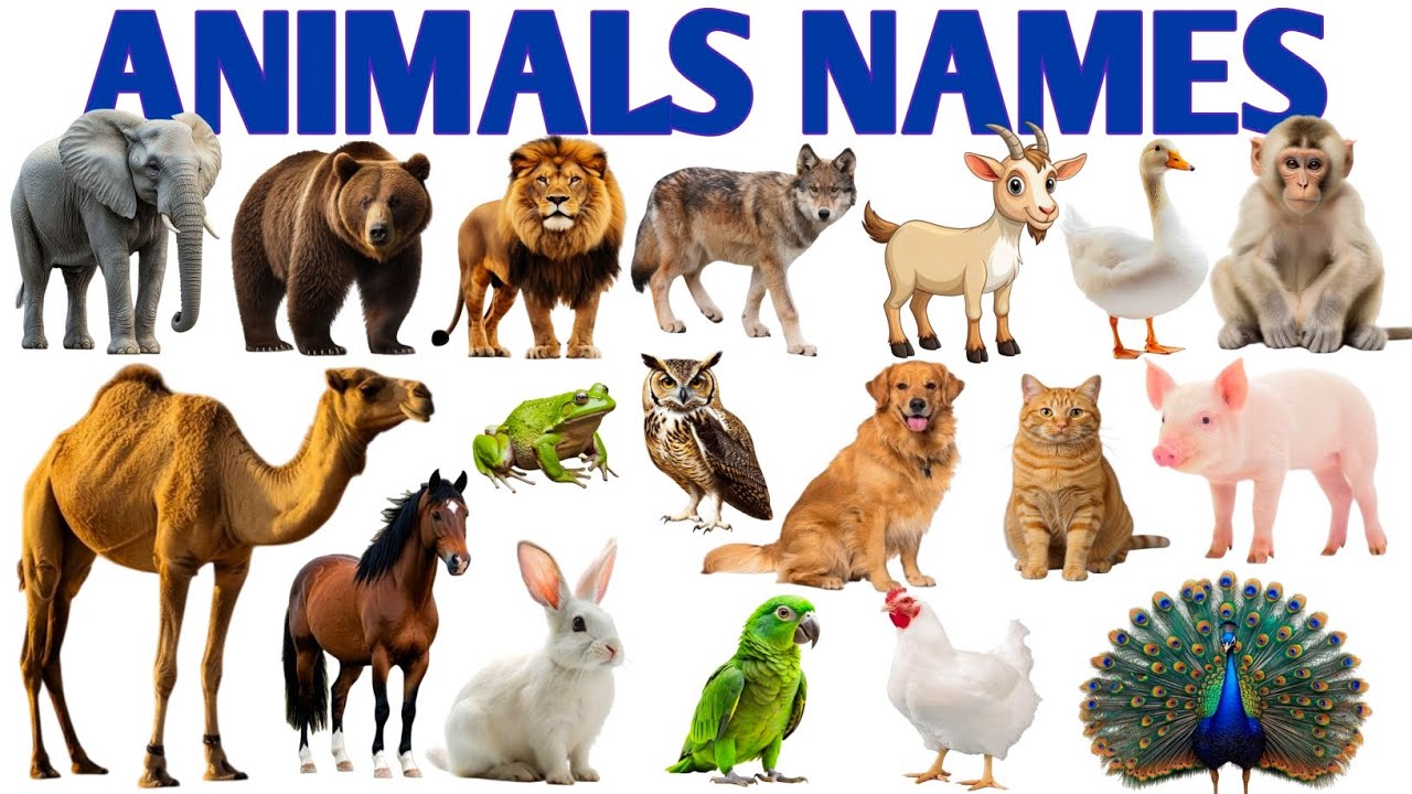 20 Animal Names in English 🐯🦁 | Wild & Farm Animals for Kids | Preschool Learning | Learn English 