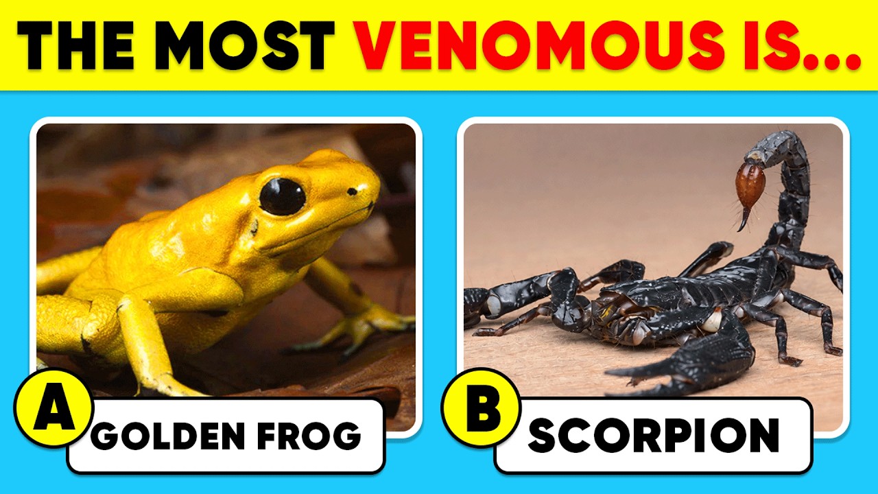 How Good Is Your Knowledge of ANIMALS? 🐸🦂😨 General Knowledge Trivia Quiz
