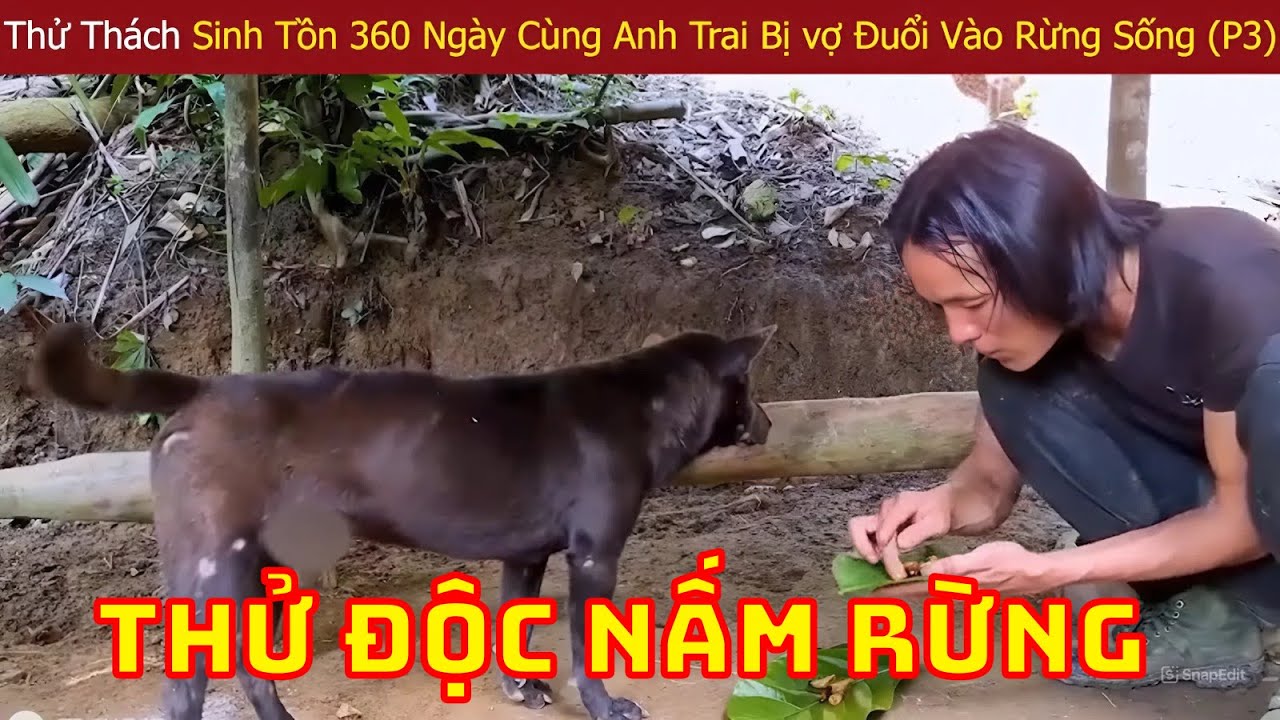 Thử Thách Sinh Tồn 360 Ngày Của Anh Trai Bị Vợ Đuổi Vào Rừng Với Cuộc Sống Tự Do Cá Thịt (P3)