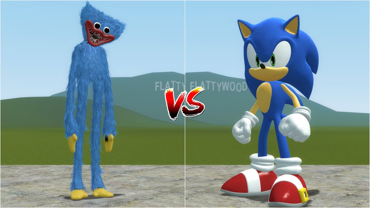 NEW HUGGY WUGGY VS NEW SONIC in Garry's Mod!