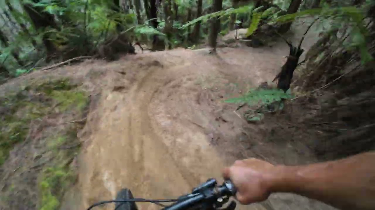 Ultra Rosa lap today. Redwoods.