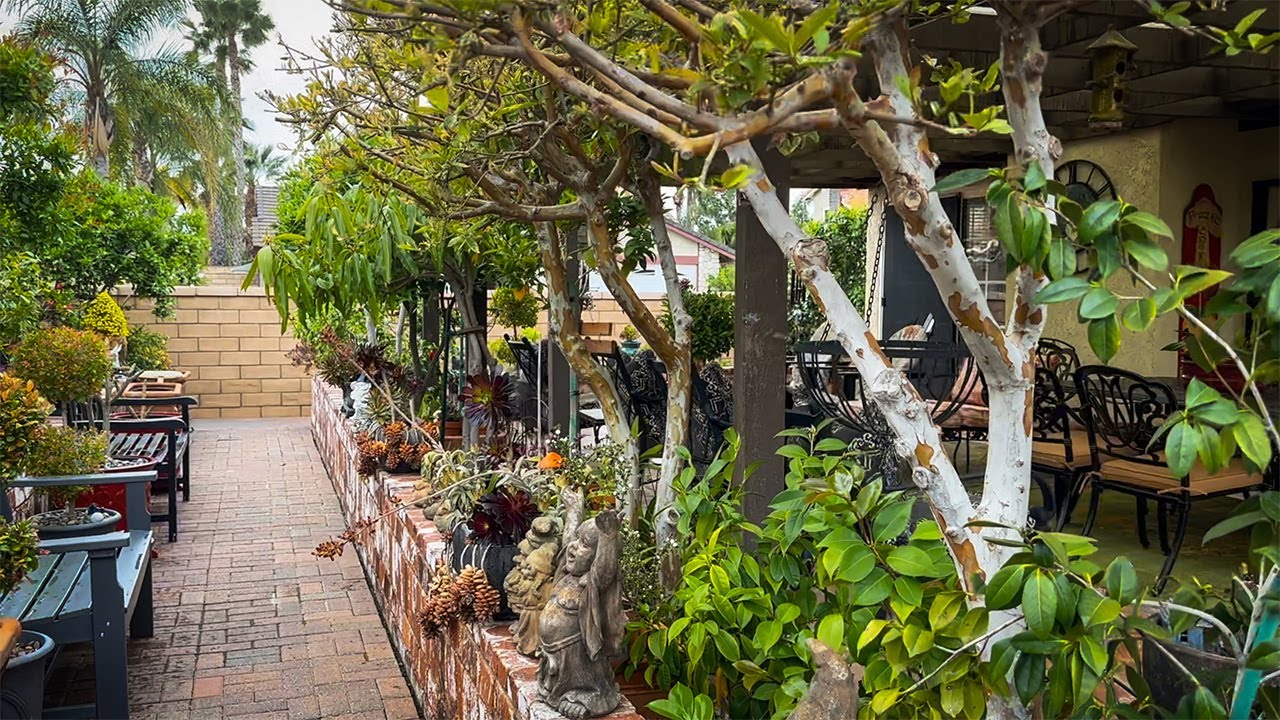 A Tour of What I Grow in my Backyard Orchard