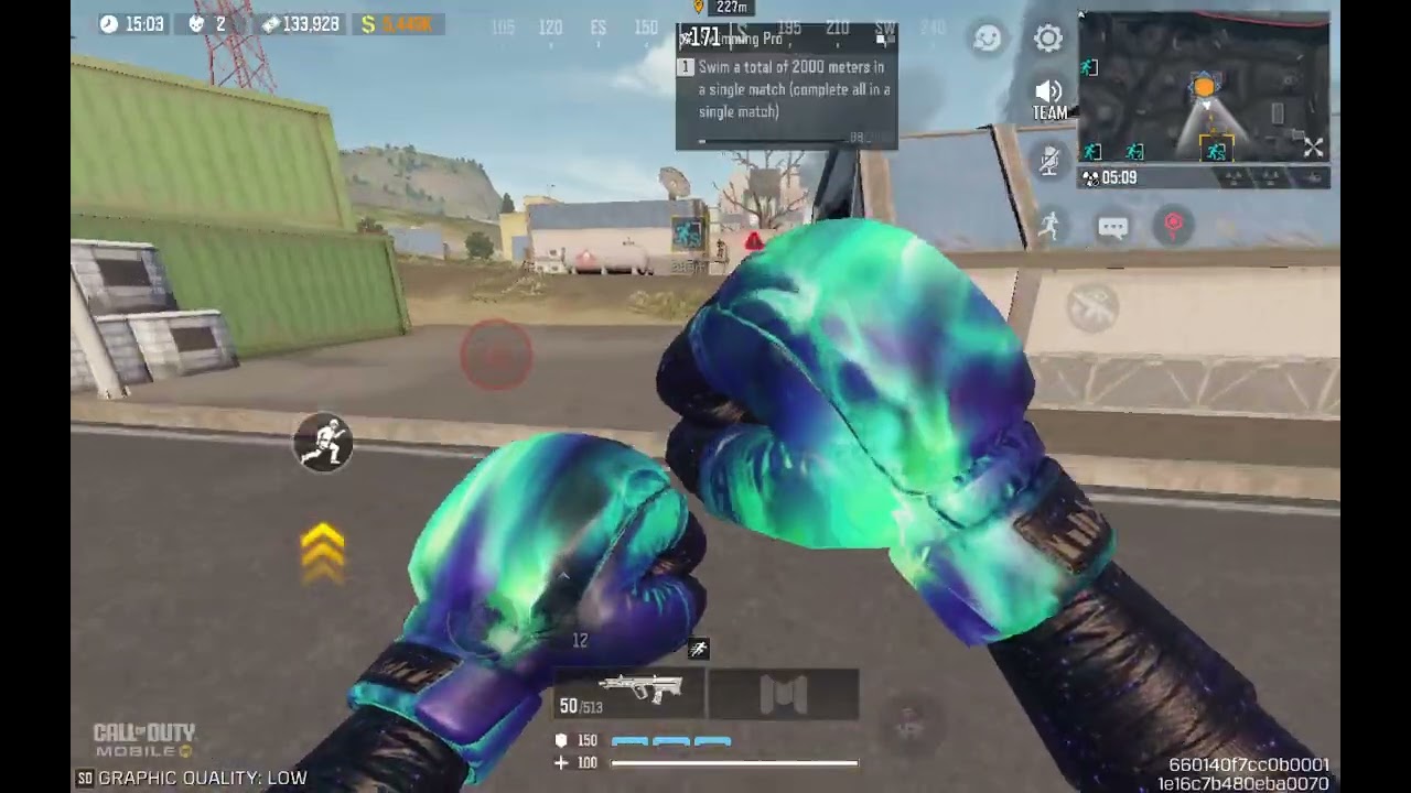 Dmz Solo Goat?